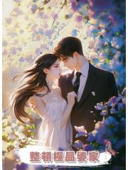 整頓極品婆家